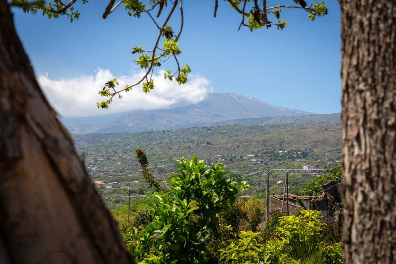 Il Giardino Country Holiday With Pool Taormina Exteriör bild